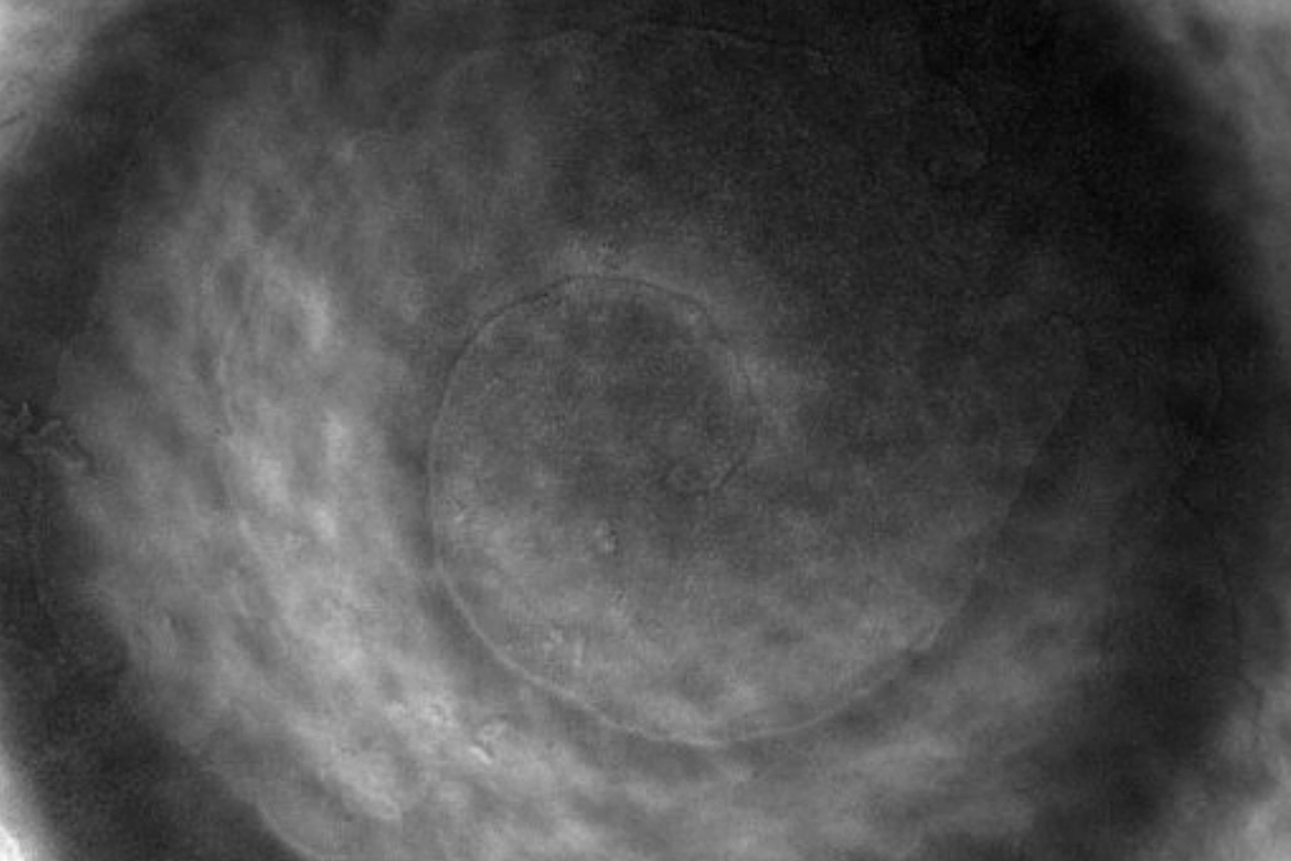 Propagating spiral waves