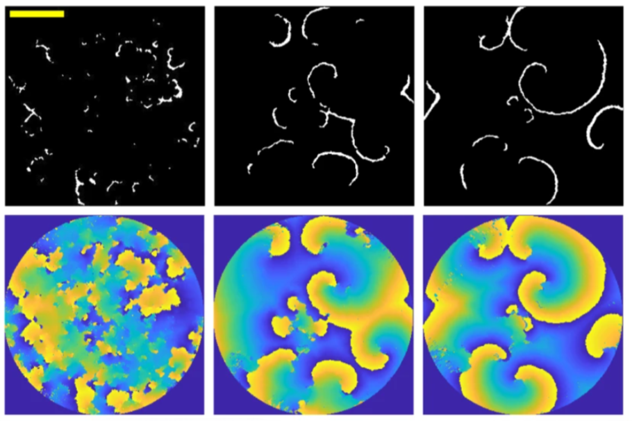 Onset and evolution of the propagating spiral waves